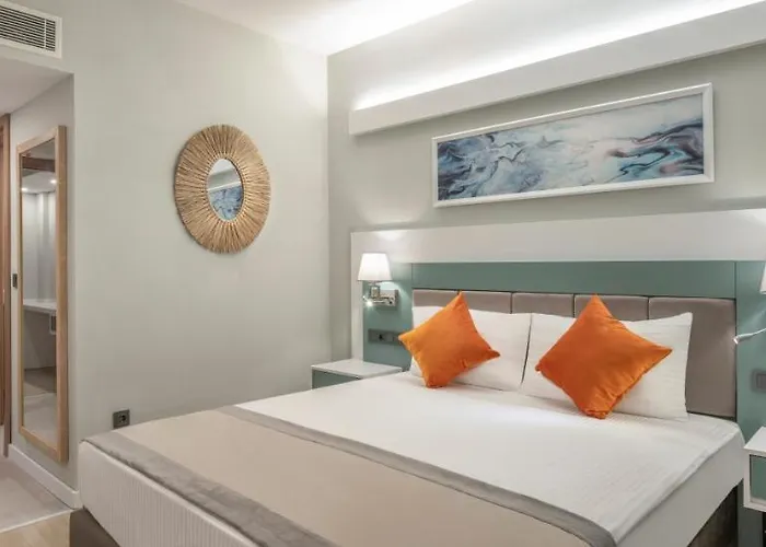 Arcanus Trendline 锡德