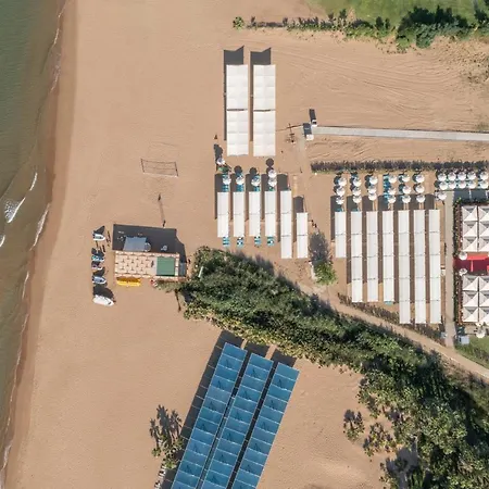 Arcanus Trendline 5*